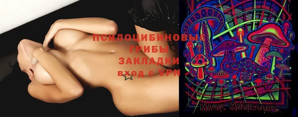 синтетический гашиш Козловка