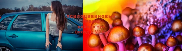меф Козельск