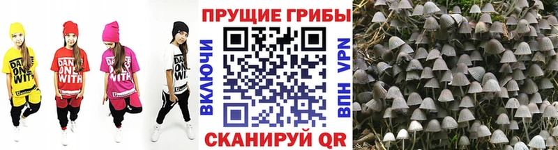 Галлюциногенные грибы MAGIC MUSHROOMS  Новороссийск 