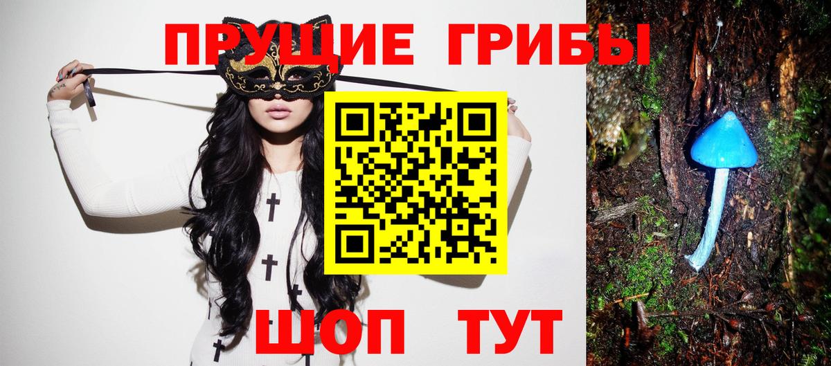 Псилоцибиновые грибы MAGIC MUSHROOMS Новороссийск