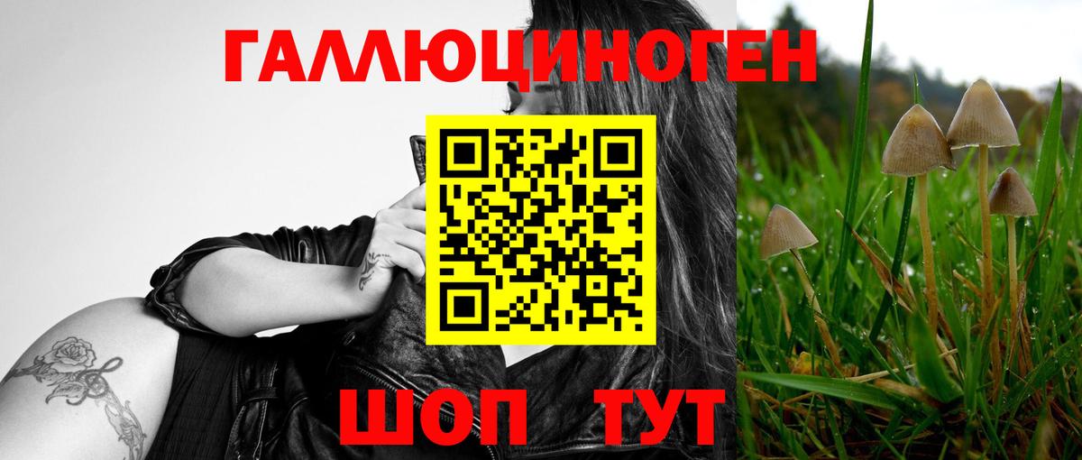 Псилоцибиновые грибы мухоморы  Вход с VPN  Новороссийск 