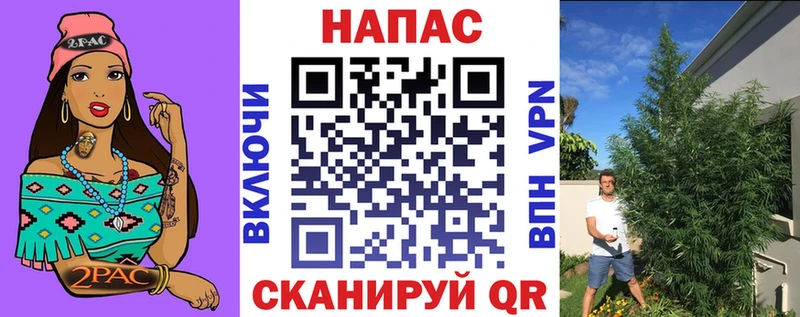 Каннабис Ganja  купить   Новороссийск 